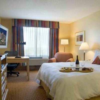 Hilton Garden Orlando At Seaworld Hotel Williamsburg